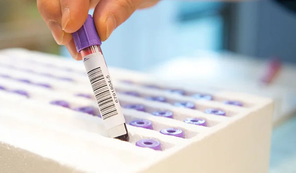 Medical & Pharmaceutical